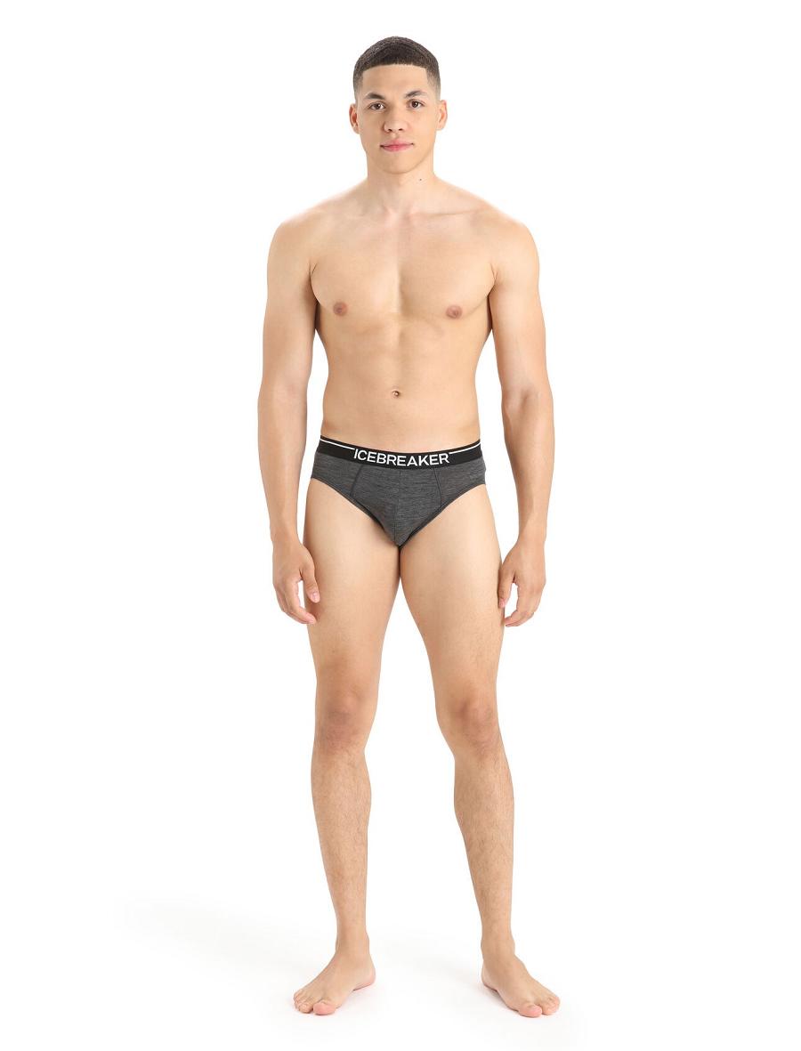 Men's Icebreaker Merino Anatomica Briefs Underwear Jet Heather | CA 1649TCEV